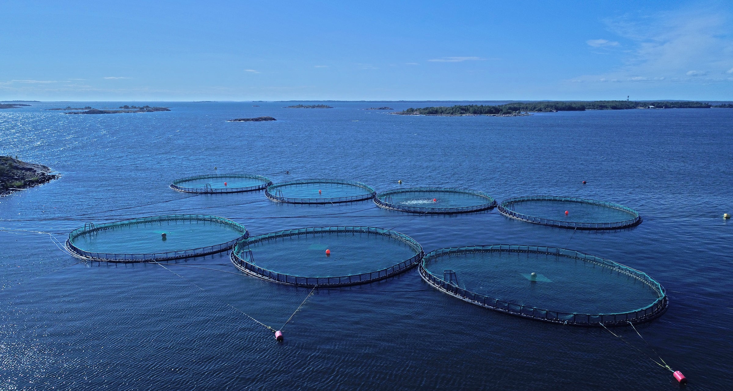 Historia | Nordic Trout