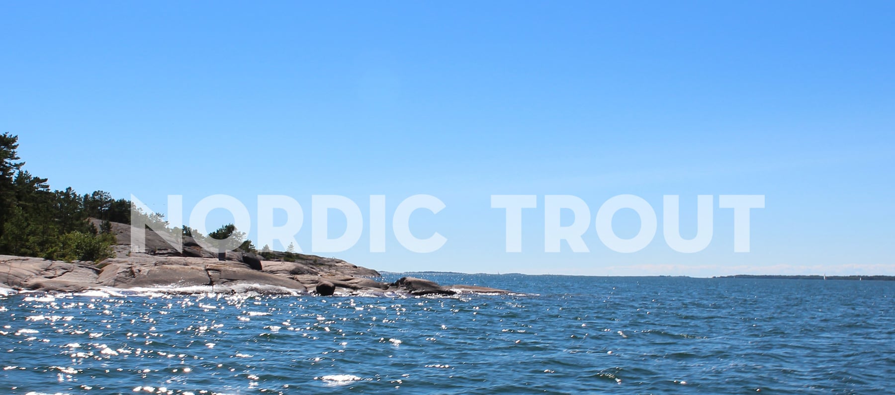 Nordic Trout